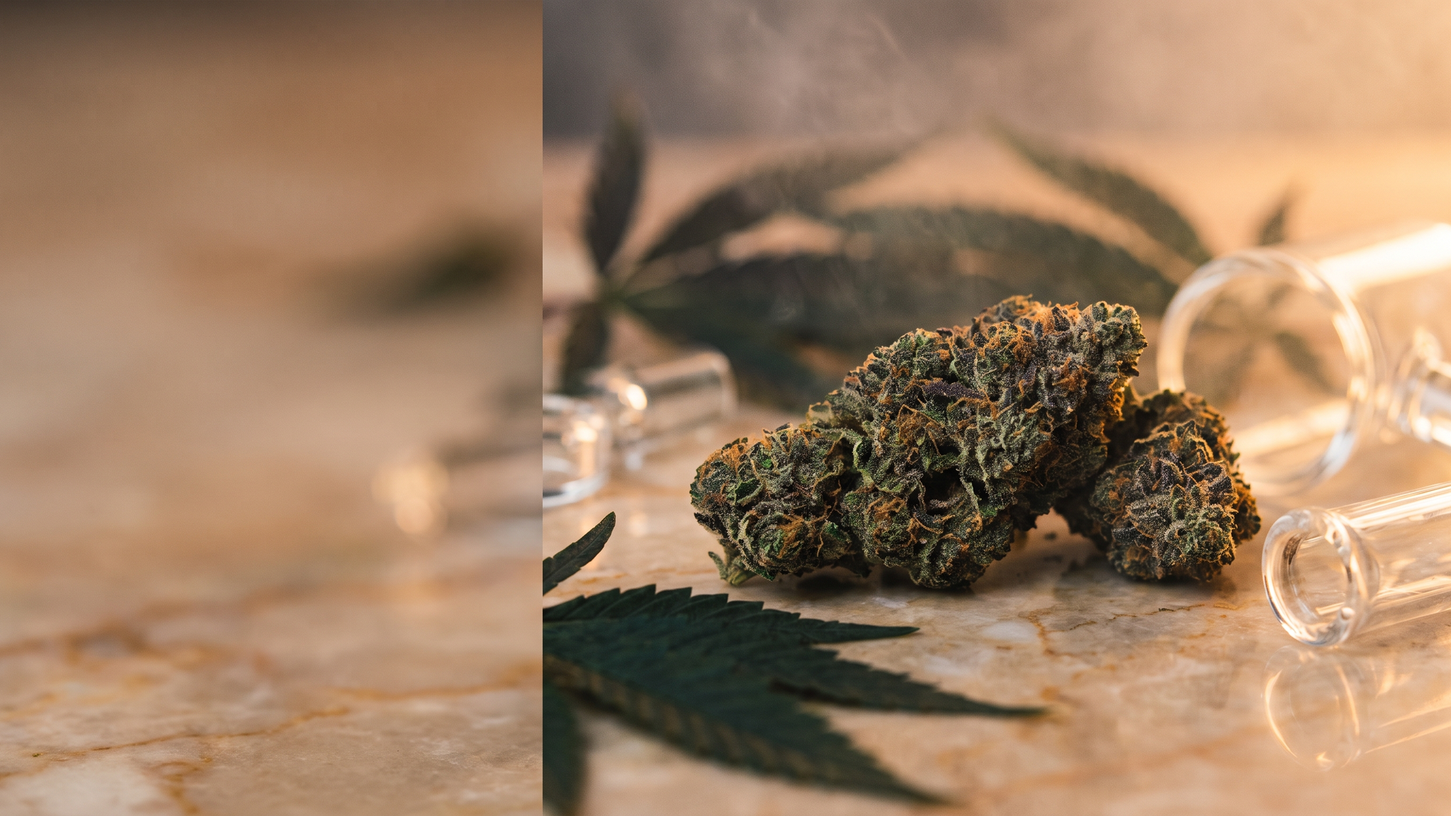 blackberry-kush-strain hero image