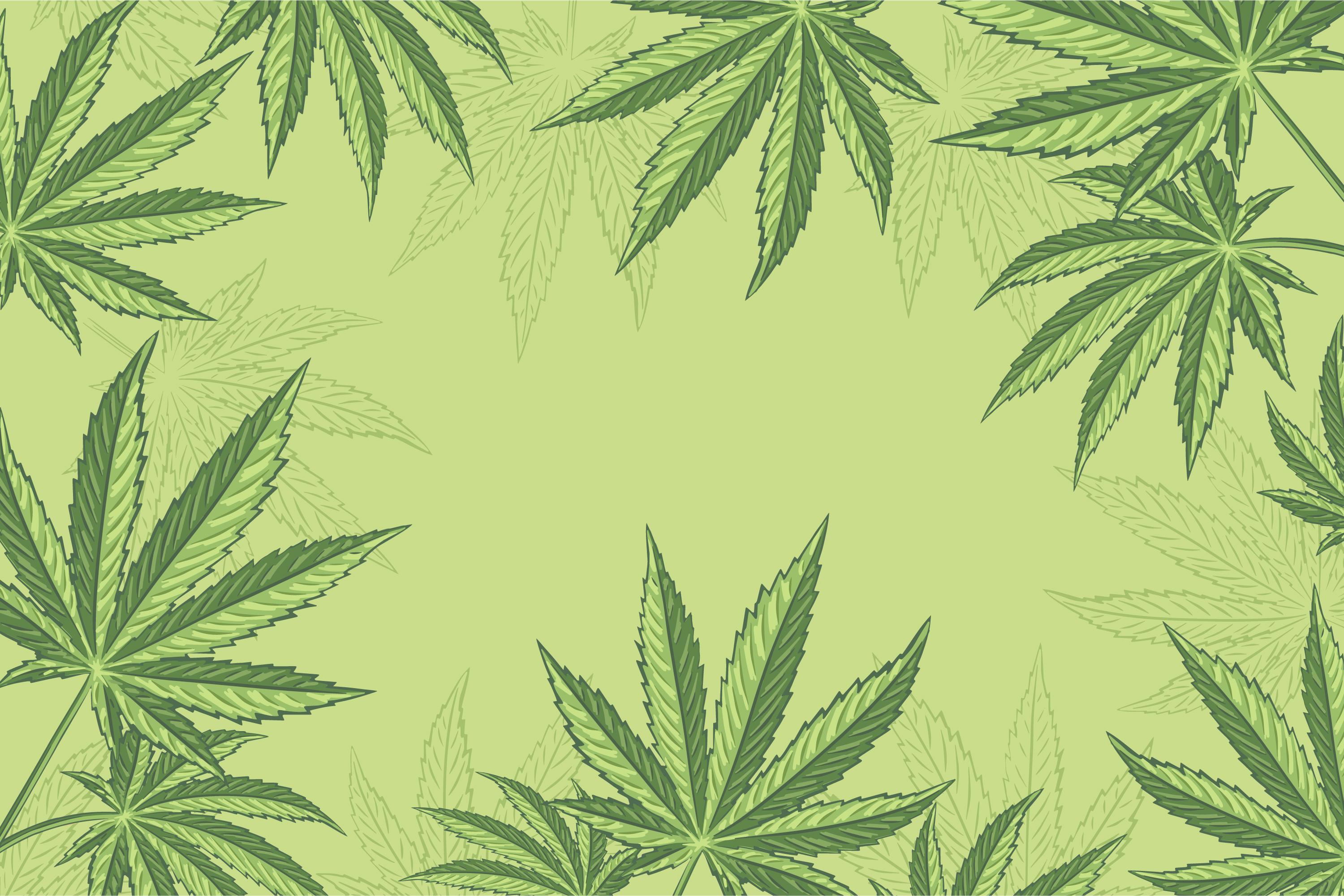 marijuana leaves