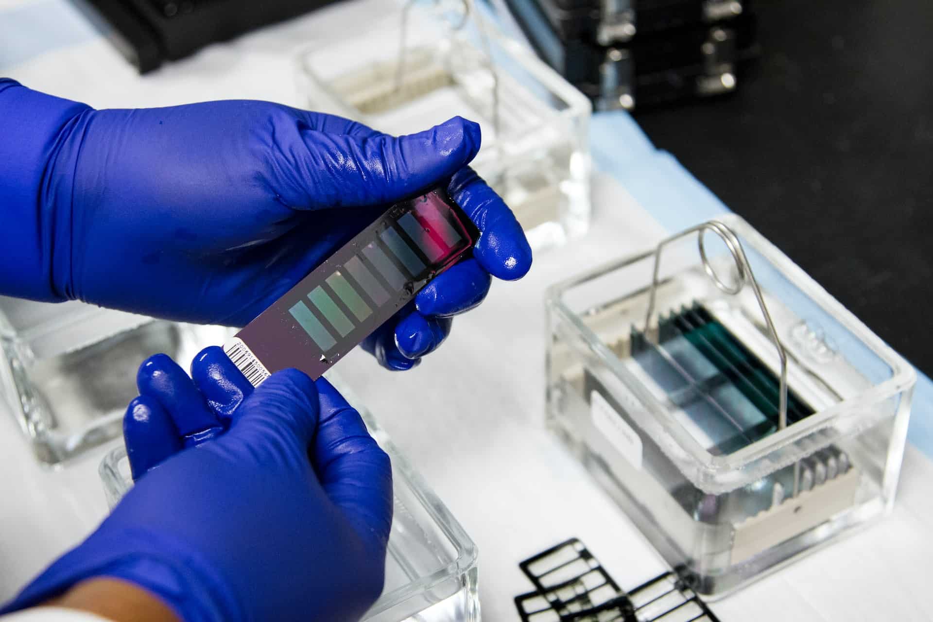 Does HHC Show Up On a Drug Test? - Elevate