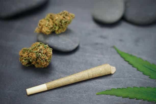 How Much THC is in Delta 9? - Elevate