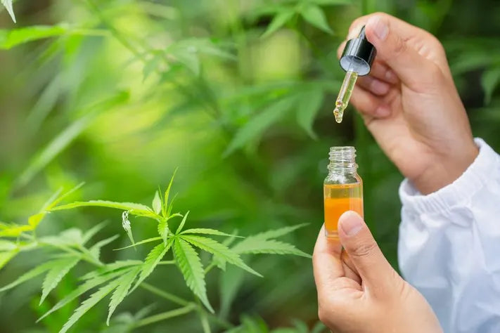 is cbd oil safe