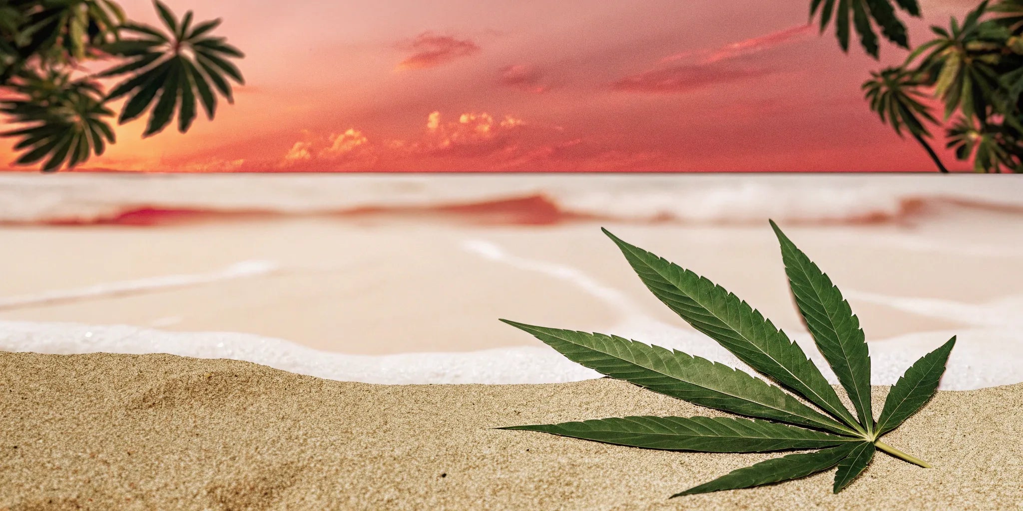 A cannabis leaf on a Florida beach, symbolizing if Delta 8 is legal in Florida.