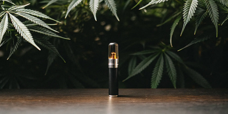 Live Resin Carts: The Best Voltage for Flavor & Potency