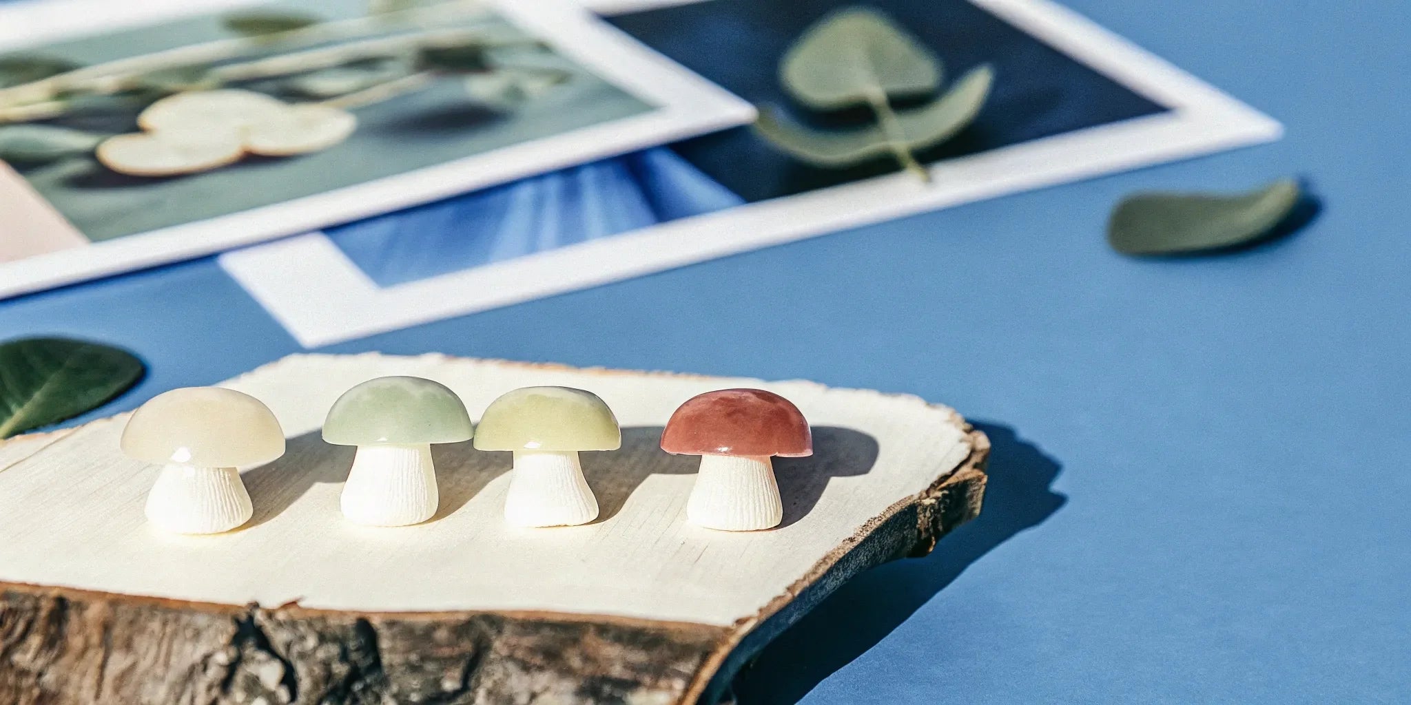 Nootropic mushroom gummies on a wooden tray.