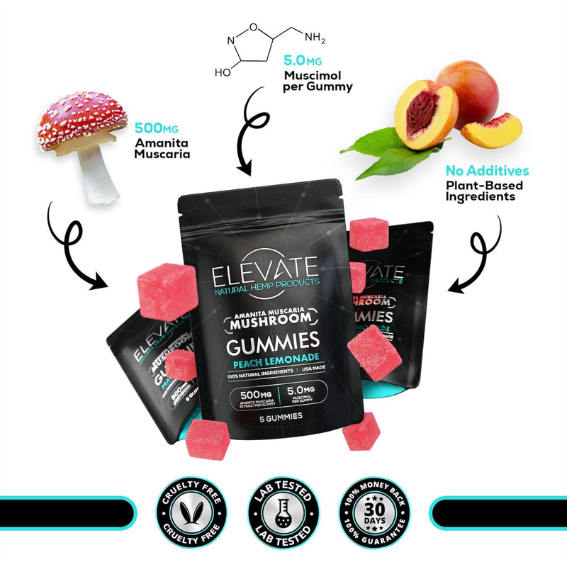 Features of the Elevate Shroom Gummies
