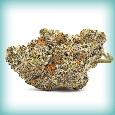 Cadillac Rainbow - Elevate