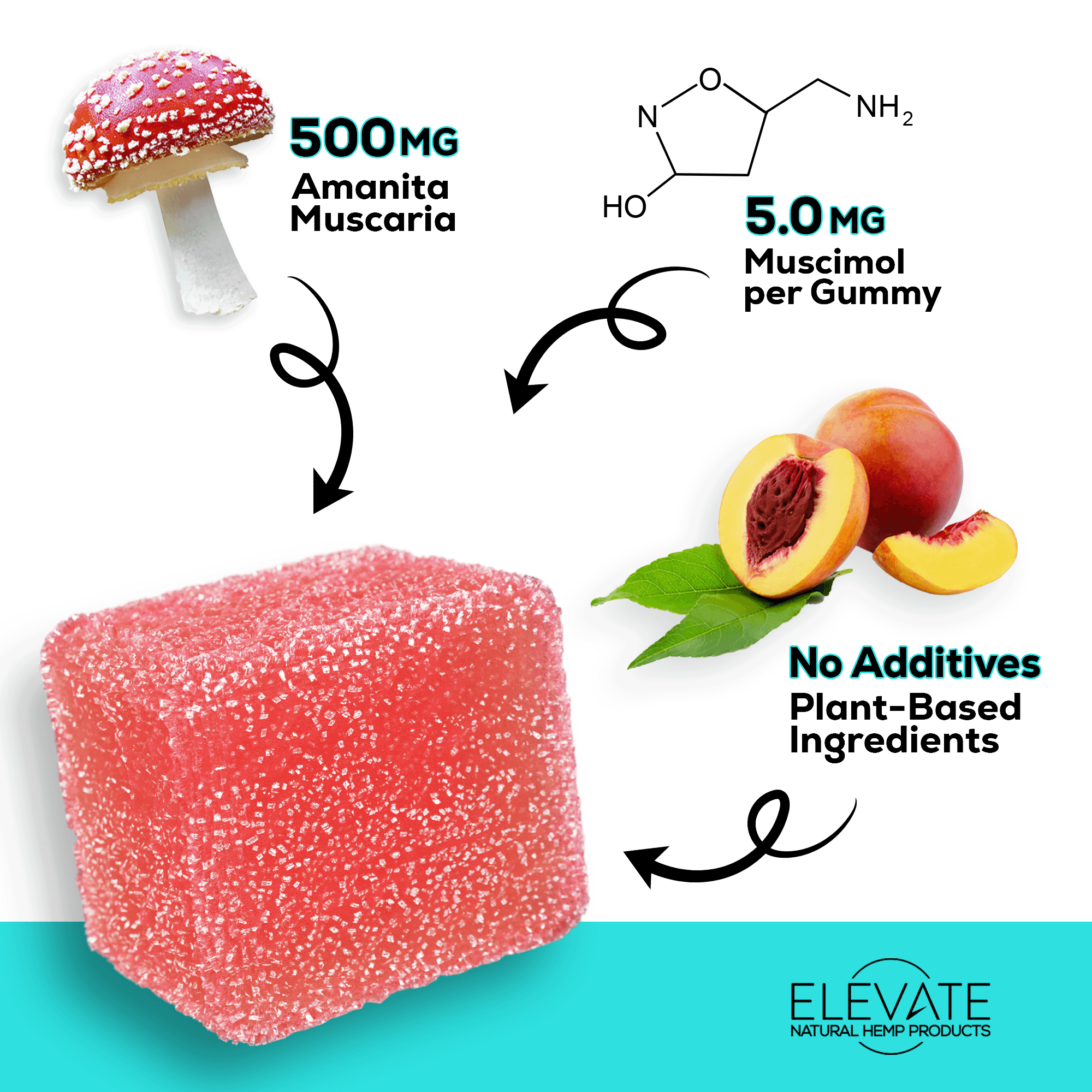 Mushroom Gummies - Peach Lemonade - Elevate