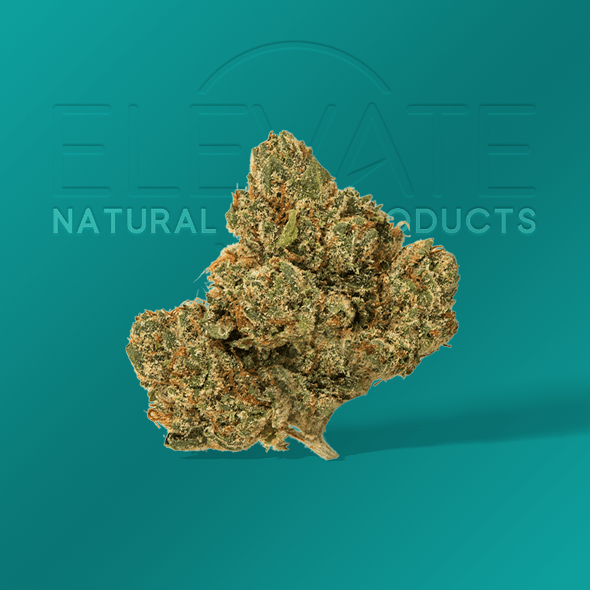 Hardcore OG - Elevate