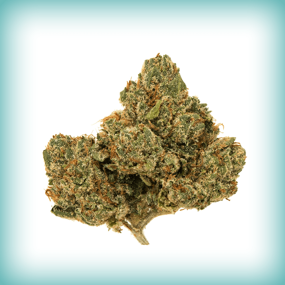 Hardcore OG THCA Flower – Premium Sativa, Lab Tested
