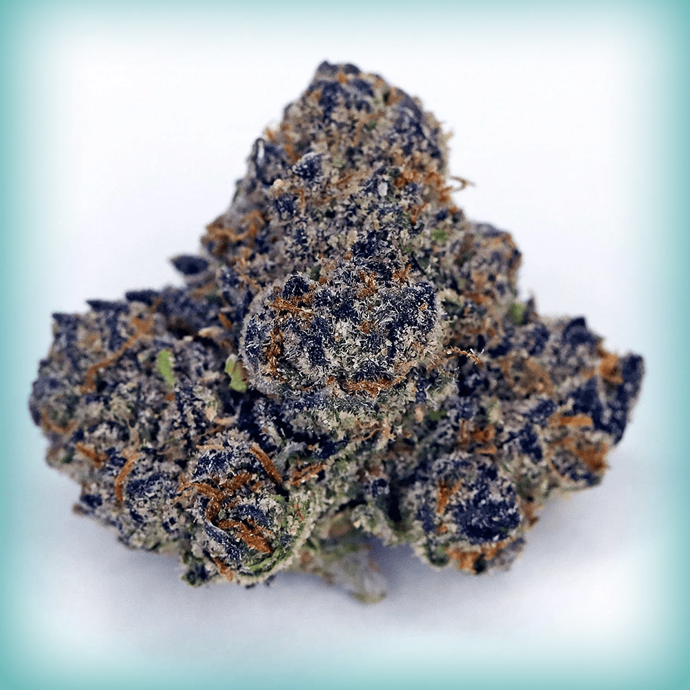 Lemon Cherry Gelato - Elevate