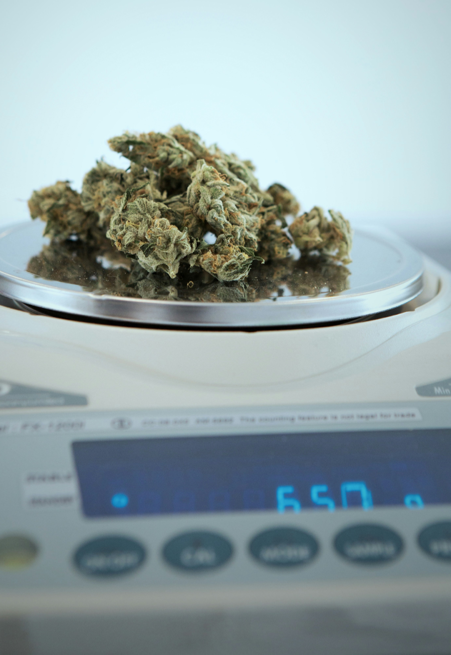 A close-up of THCA flower on a digital scale showing 650 grams