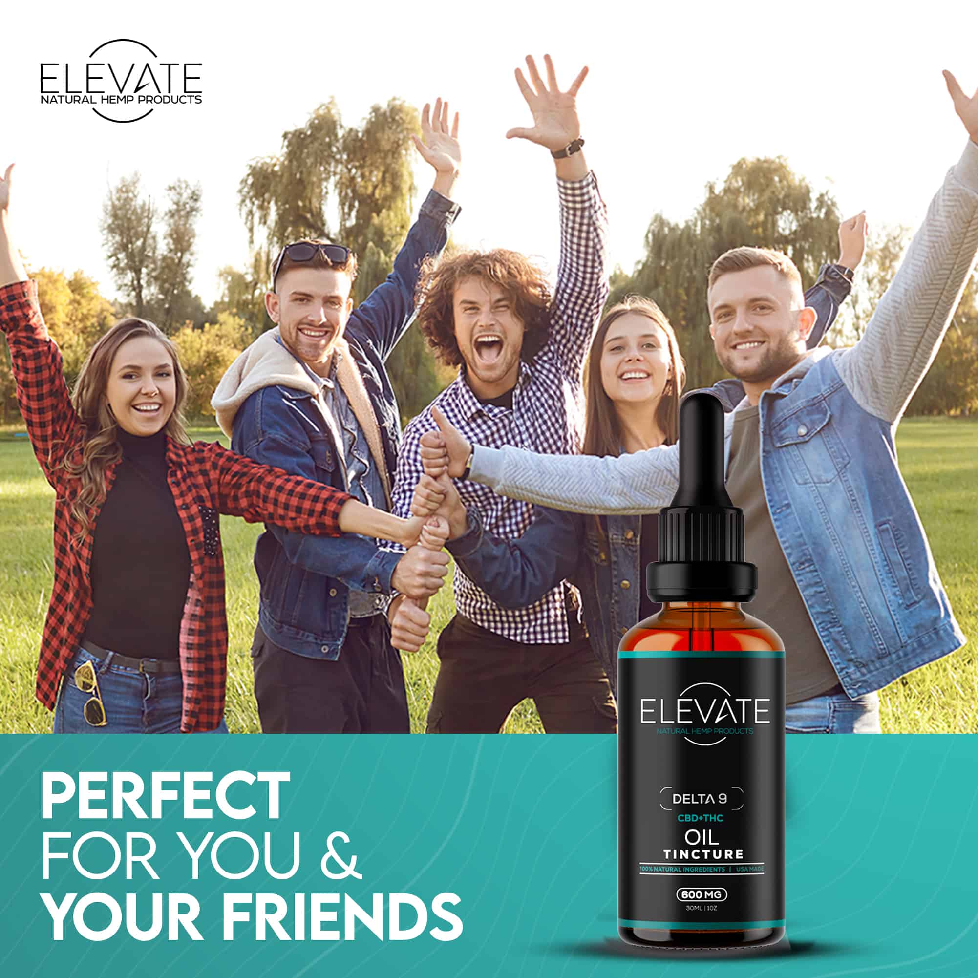 Delta 9 Oil Tincture - Elevate