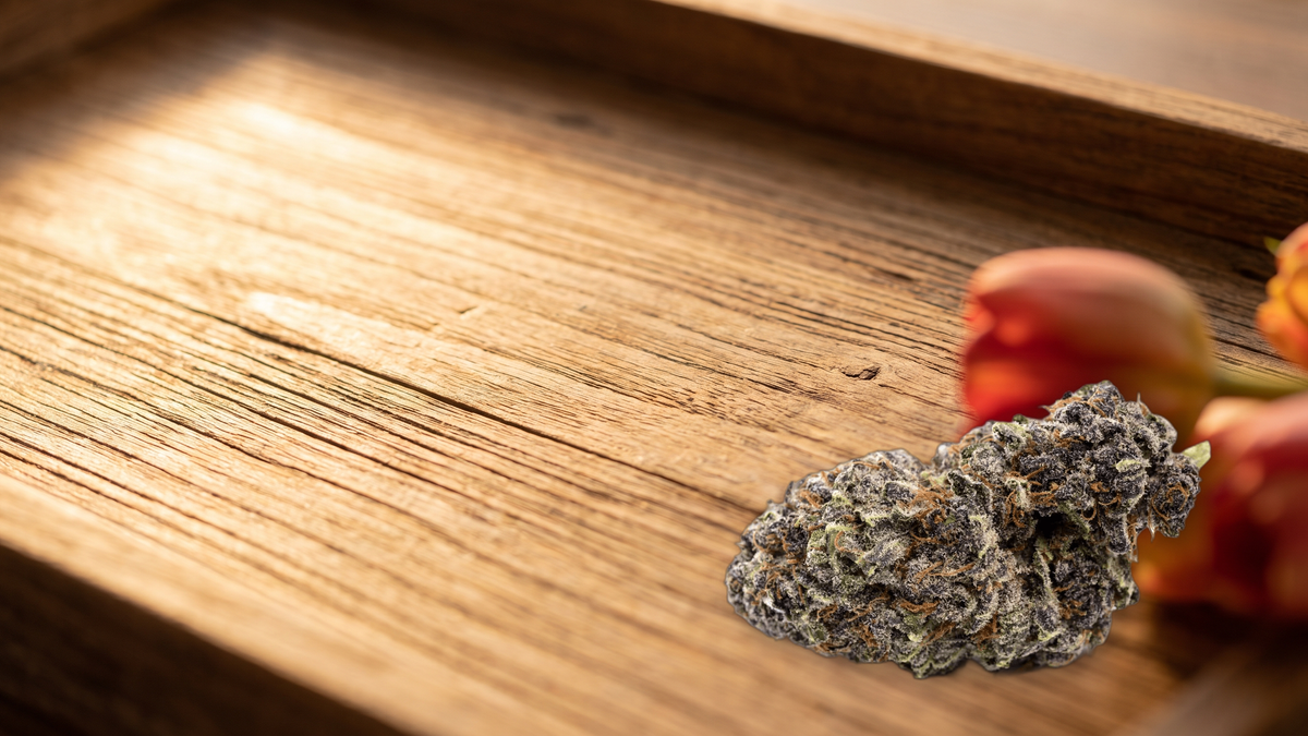 HHC Flower – Premium Hemp Buds for Every Experience