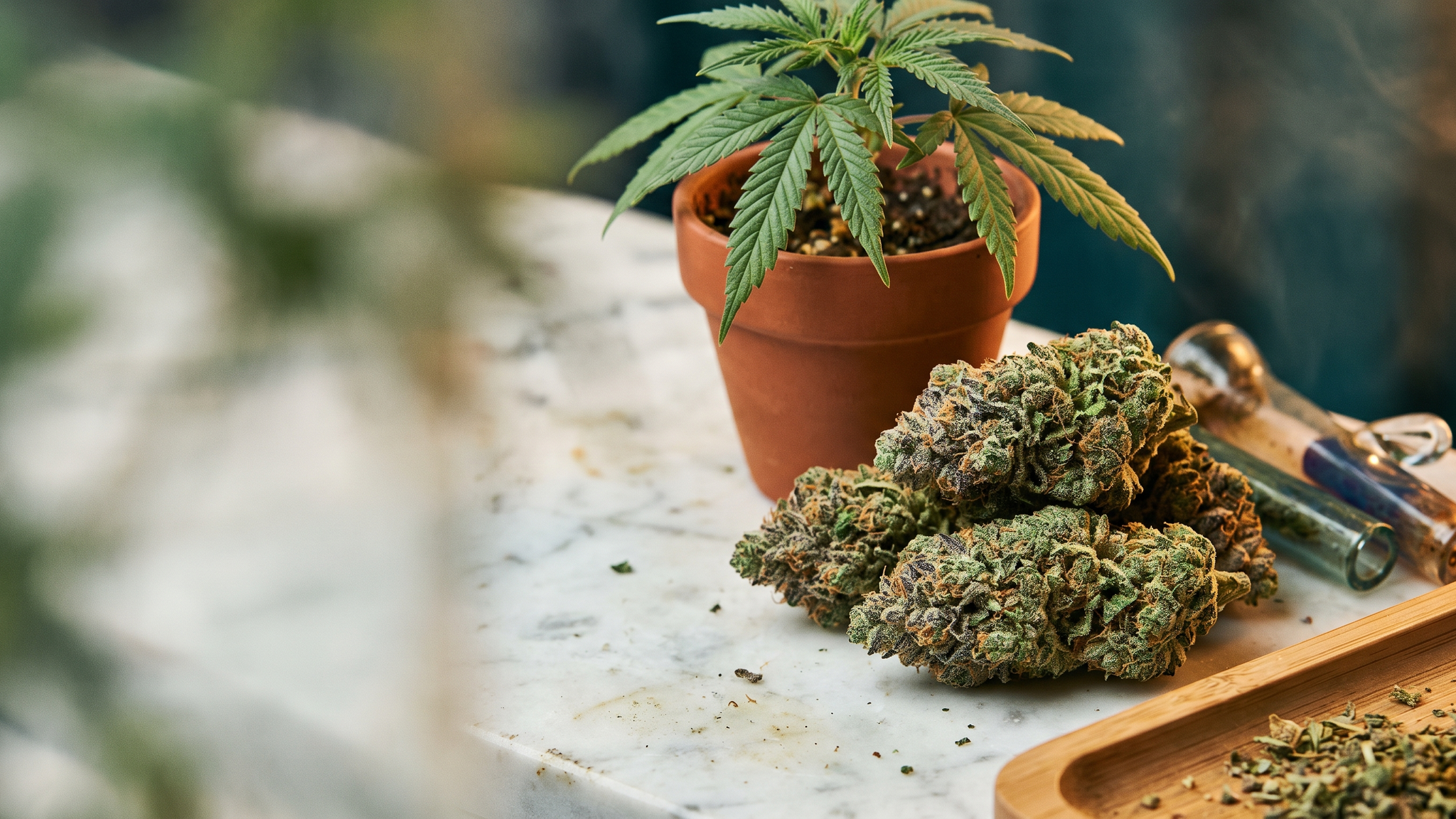 cadillac-rainbow-strain hero image
