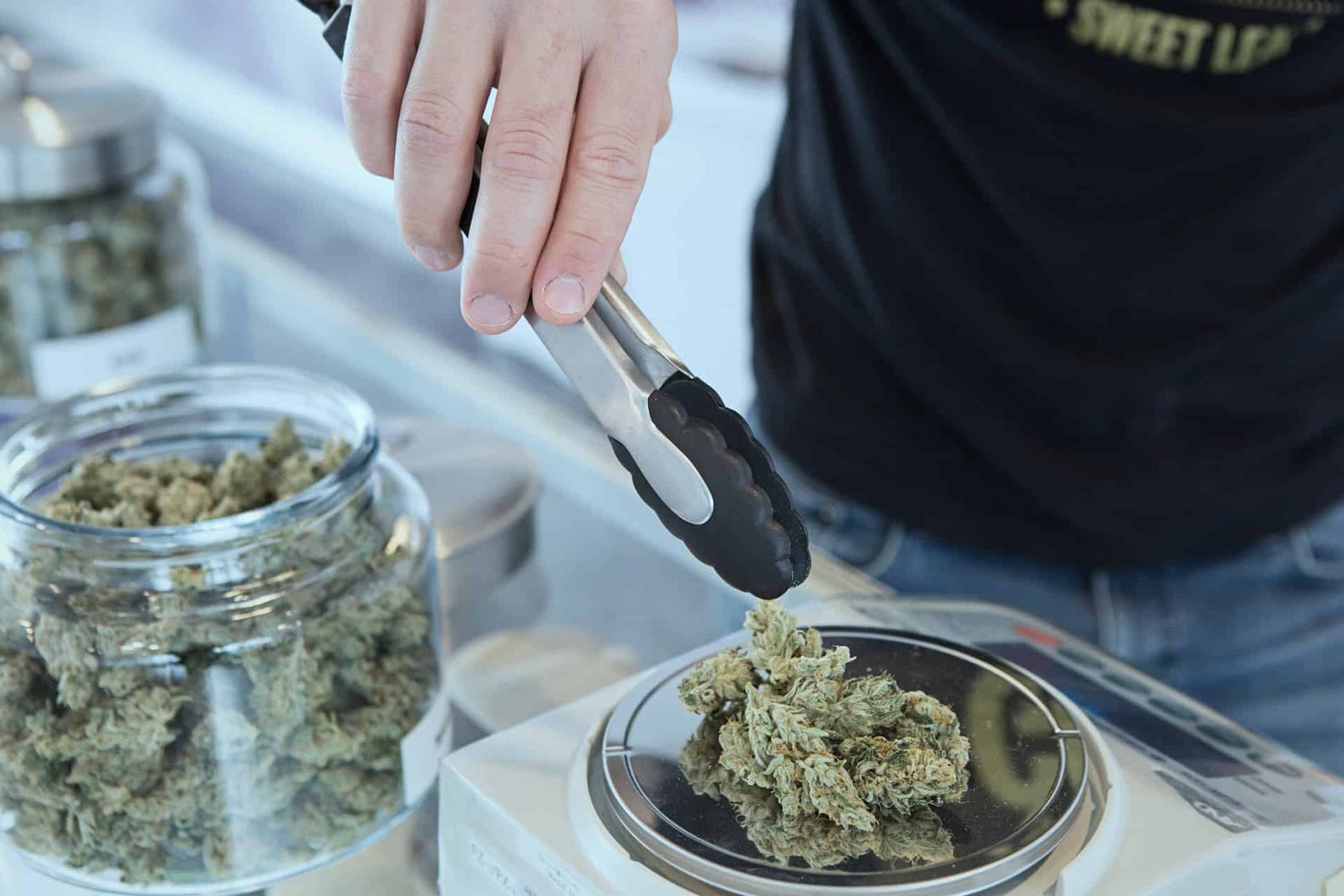 A person using tongs to weigh cannabis on a scale, with jars of cannabis in the background.