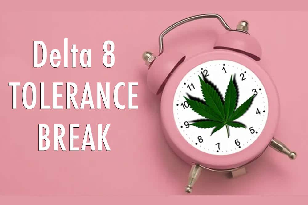 Pink alarm clock with cannabis leaf and text 'Delta 8 Tolerance Break'