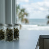 Buy THCA in Florida