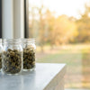 Buy THCA in Georgia