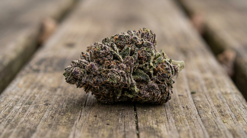 Mendo Breath Strain