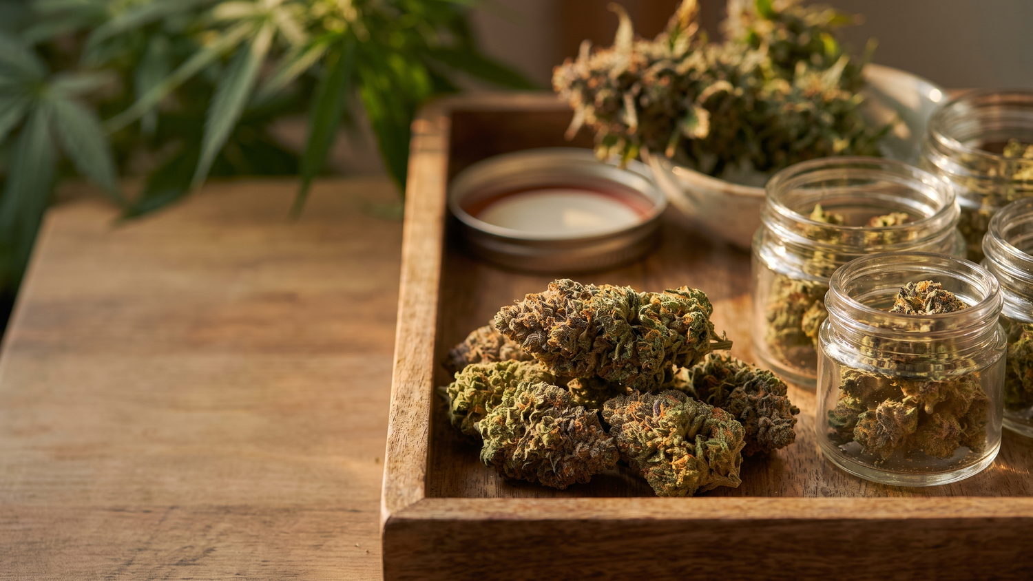 exotic-smalls-strain-premium-quality-cannabis-at-unbeatable-value hero image