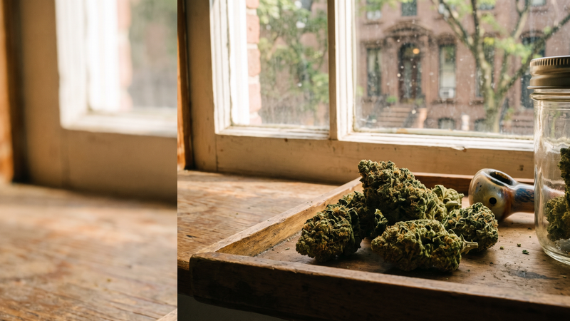 Is THCA Legal in New York? 2026 Consumer & Business Guide by Elevate