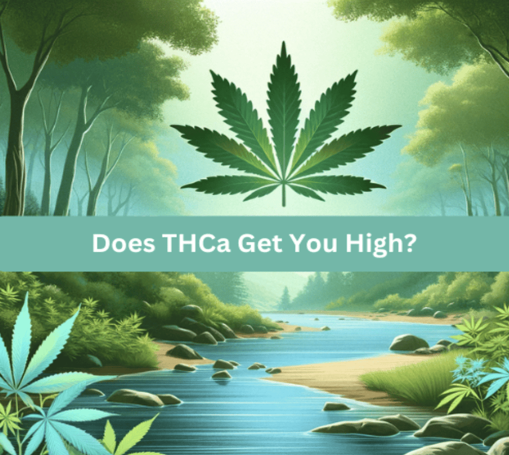 Does THCa Get You High? - Elevate
