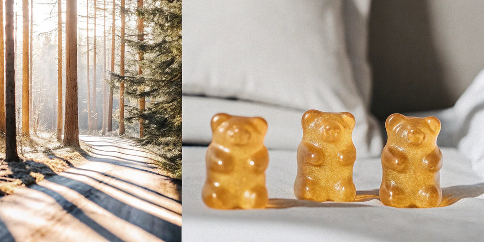 THCV gummies for natural energy and focus resting in a sunlit forest.