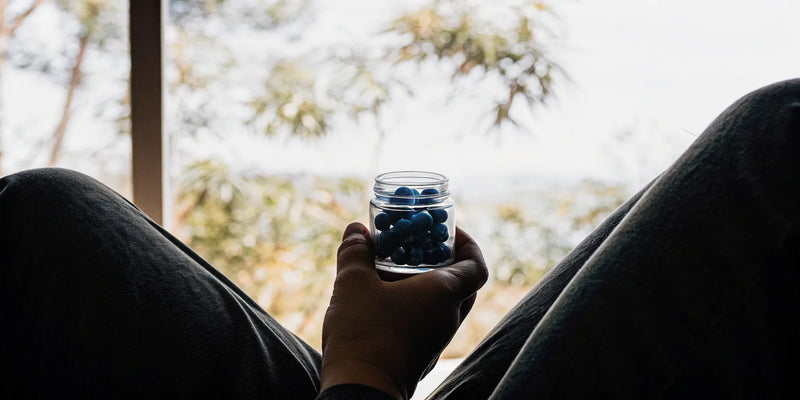 Lotus Mushroom Gummies 101: The Ultimate Guide Lotus Mushroom Gummies 101: The Ultimate Guide