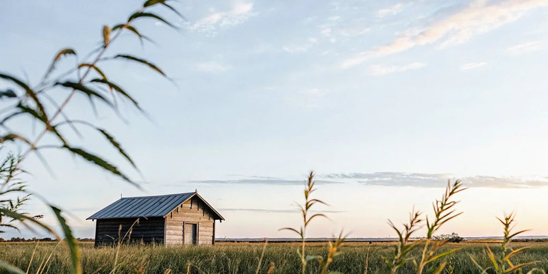 Is Delta 10 Legal in Texas? What You Need to Know