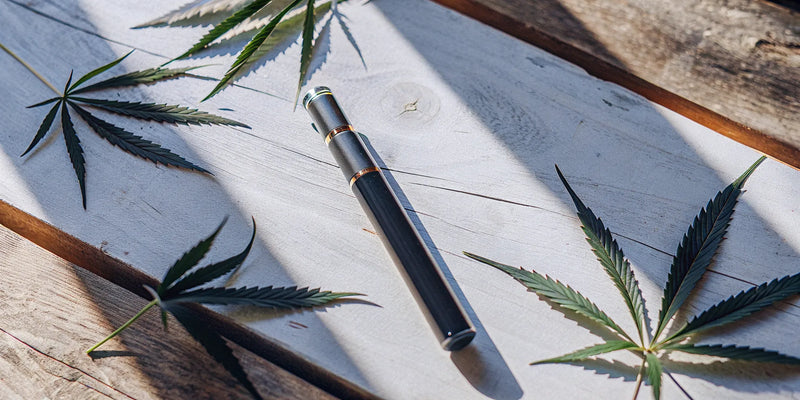 Delta 8 Pen 101: A Complete Beginner's Guide