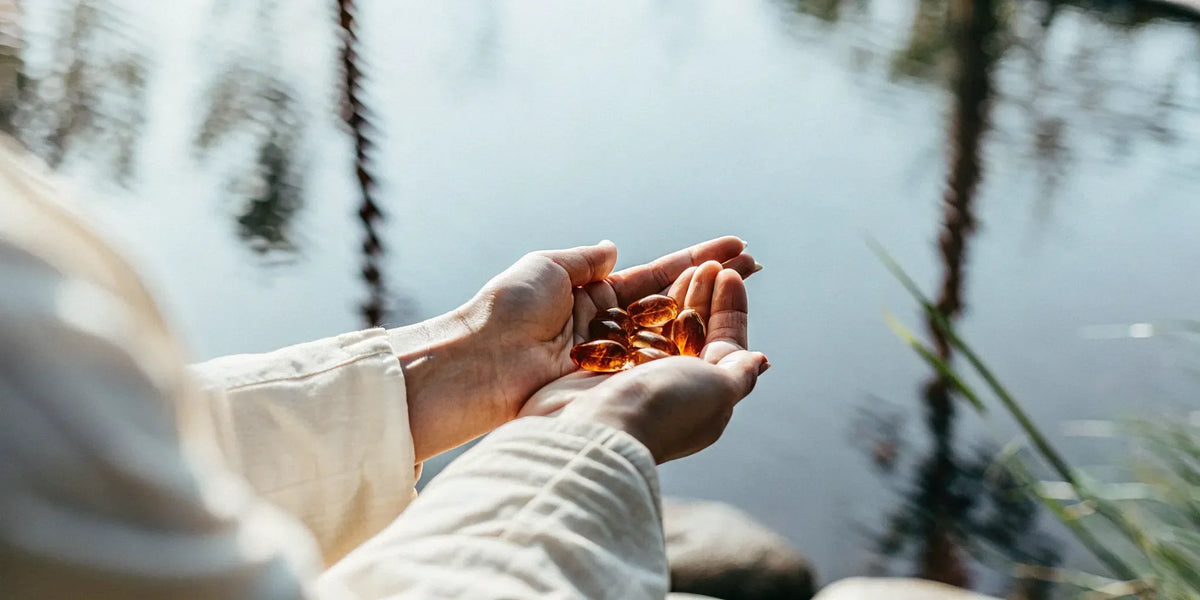 Delta 8 Softgels 101: Your Complete Guide