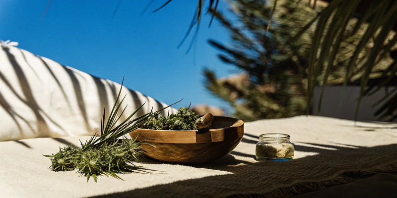 The Smart Buyer's Guide to Bulk THCA Flower