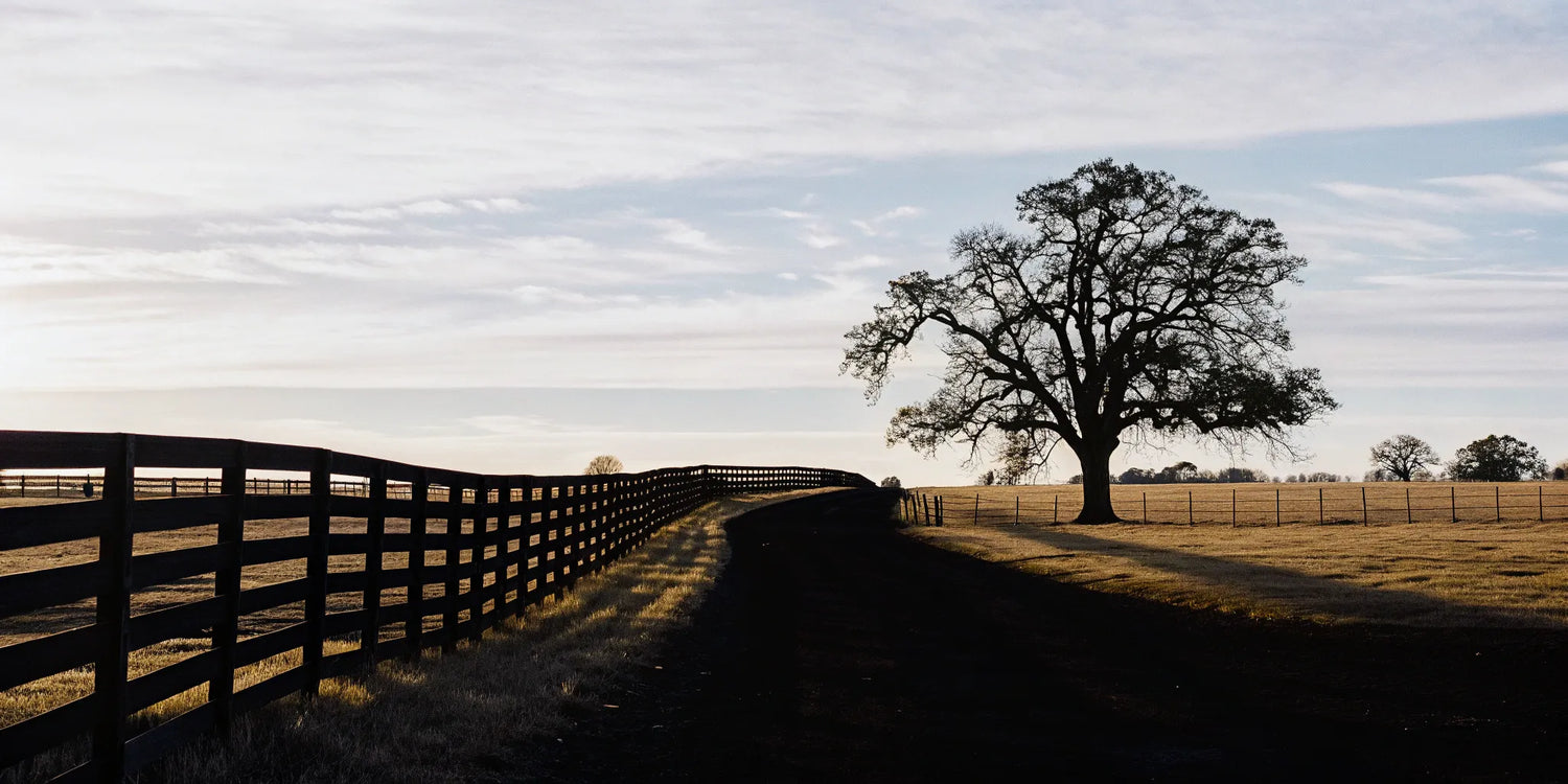 A Texas landscape, the backdrop for the question: is Delta 8 legal in Texas.