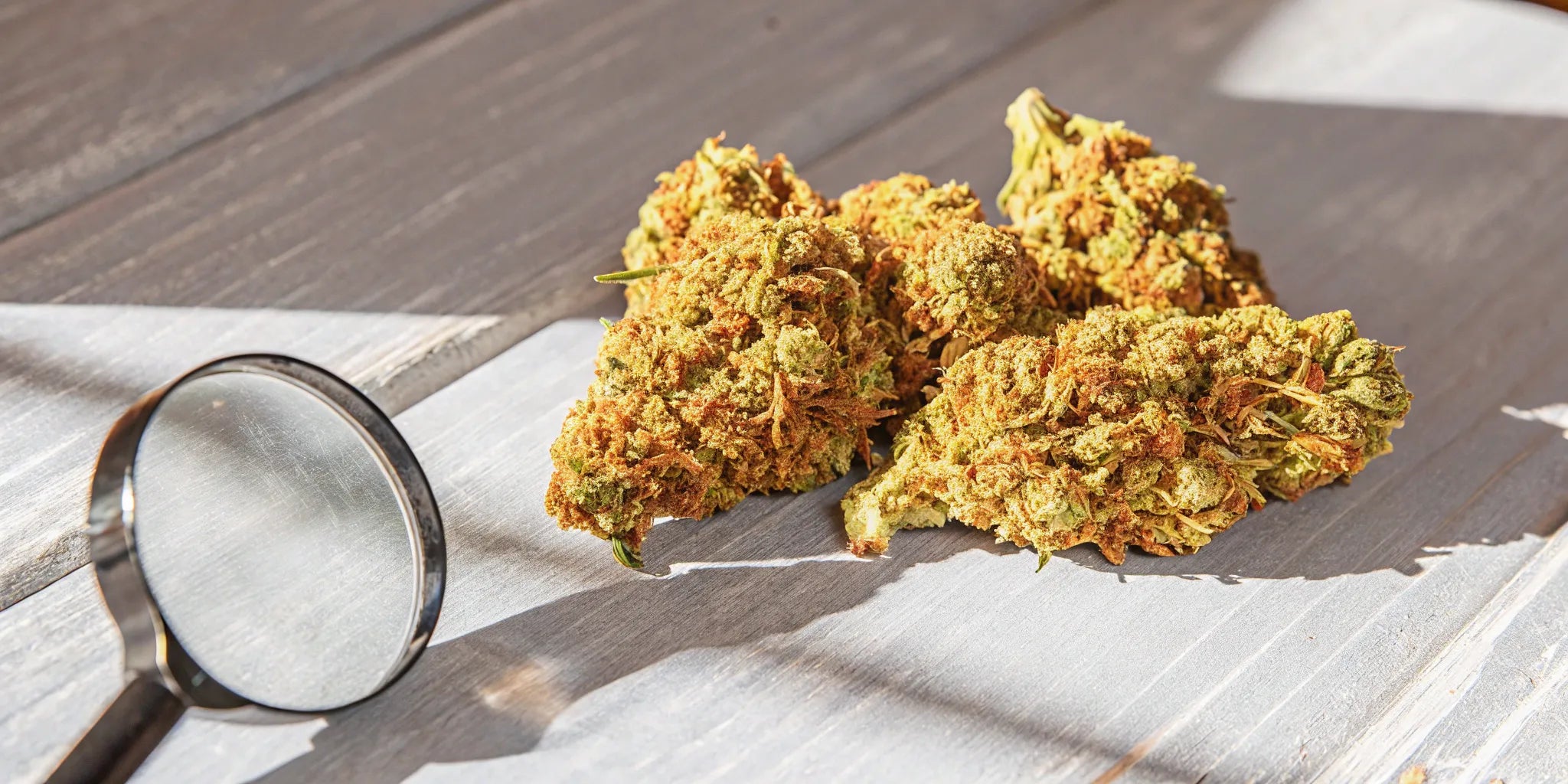 High-quality THCA flower ounce.