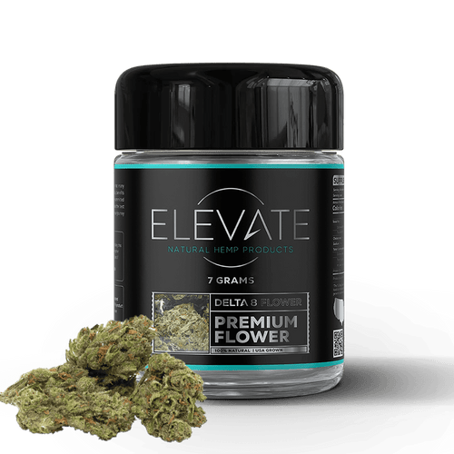 緑*茶様 BEWARE of D / DINARY DELTA FORCE 日本 DINARY DELTA FORCE / THE 9 | DLiP RECORDS OFFIC