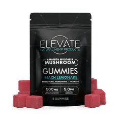 Mushroom Gummies - Peach Lemonade