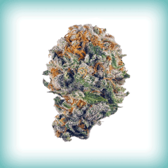 Blueberry Muffin