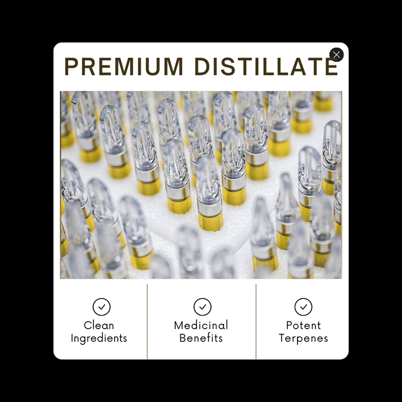 From Elevate: Precisely and Masterfully Crafted