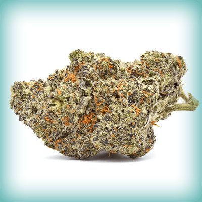 Cadillac Rainbow - Elevate