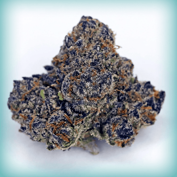 Lemon Cherry Gelato