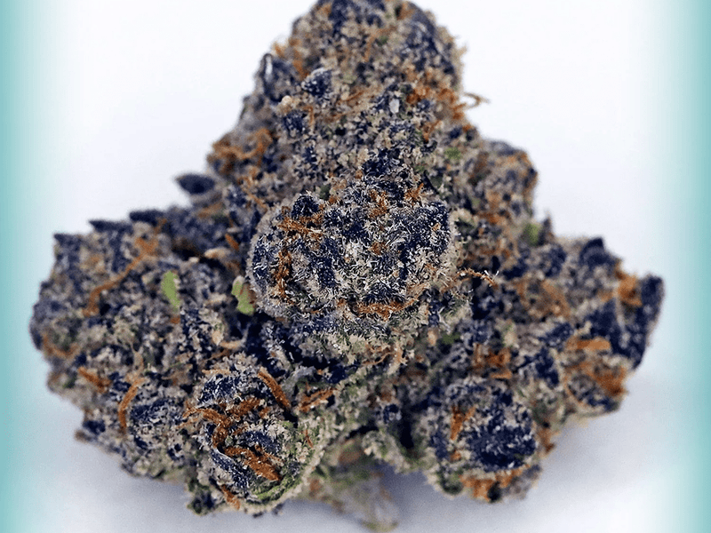 Lemon Cherry Gelato