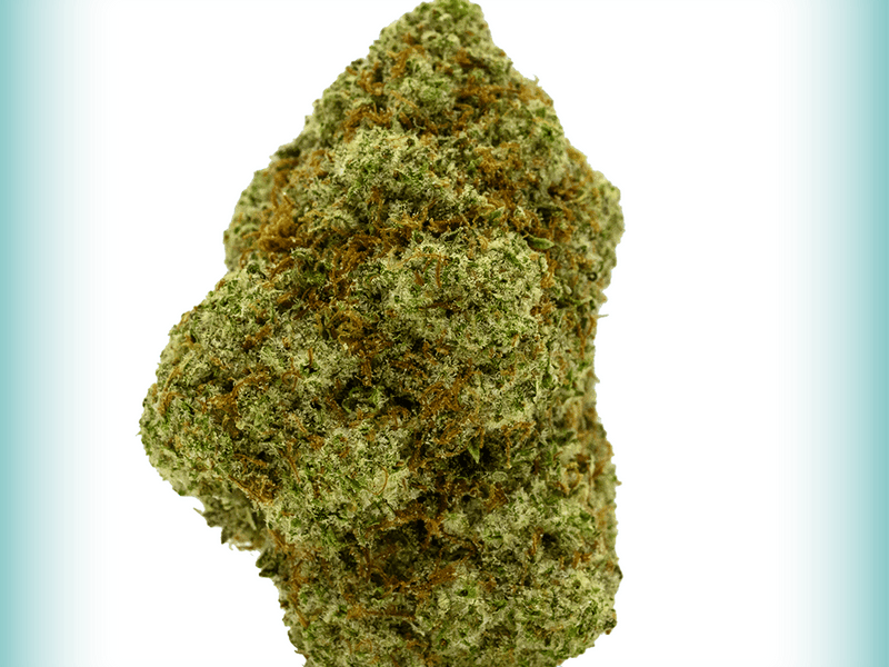 OG Kush