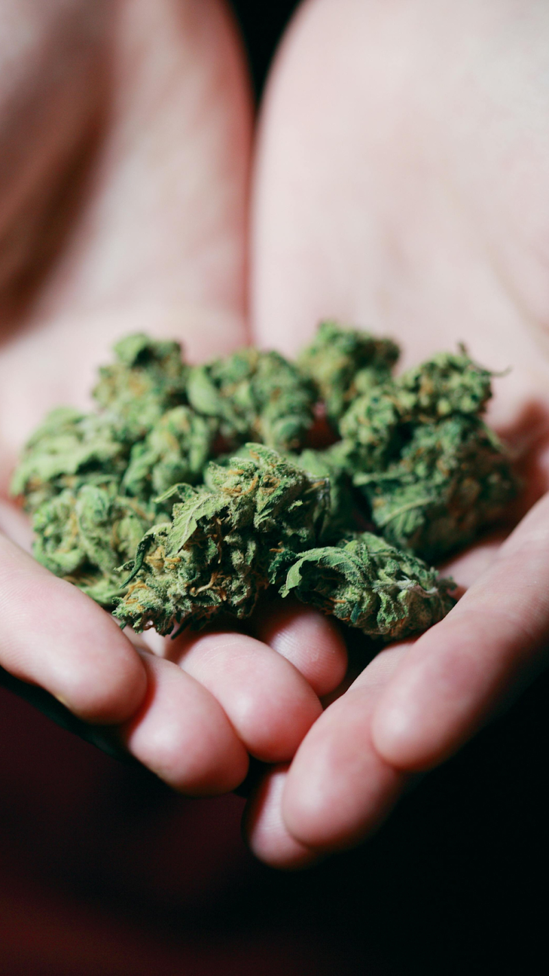 THCA Flower Vs. Delta 8 And Delta 9 THC