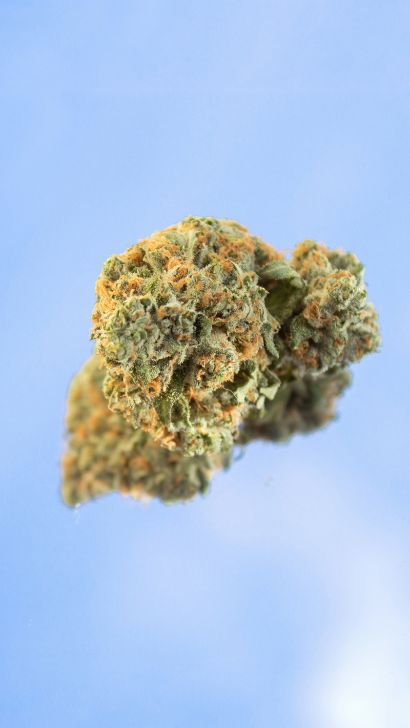 Why Should I Buy THCA Flower In Bulk?