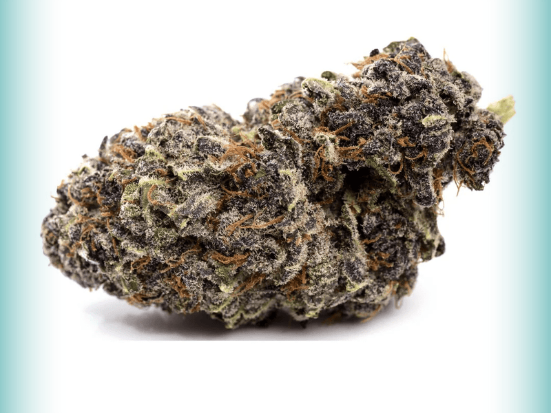 Tropicana Cherry