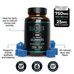 Full Spectrum CBD Gummies — image 2