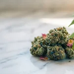 Frozen Rose Strain