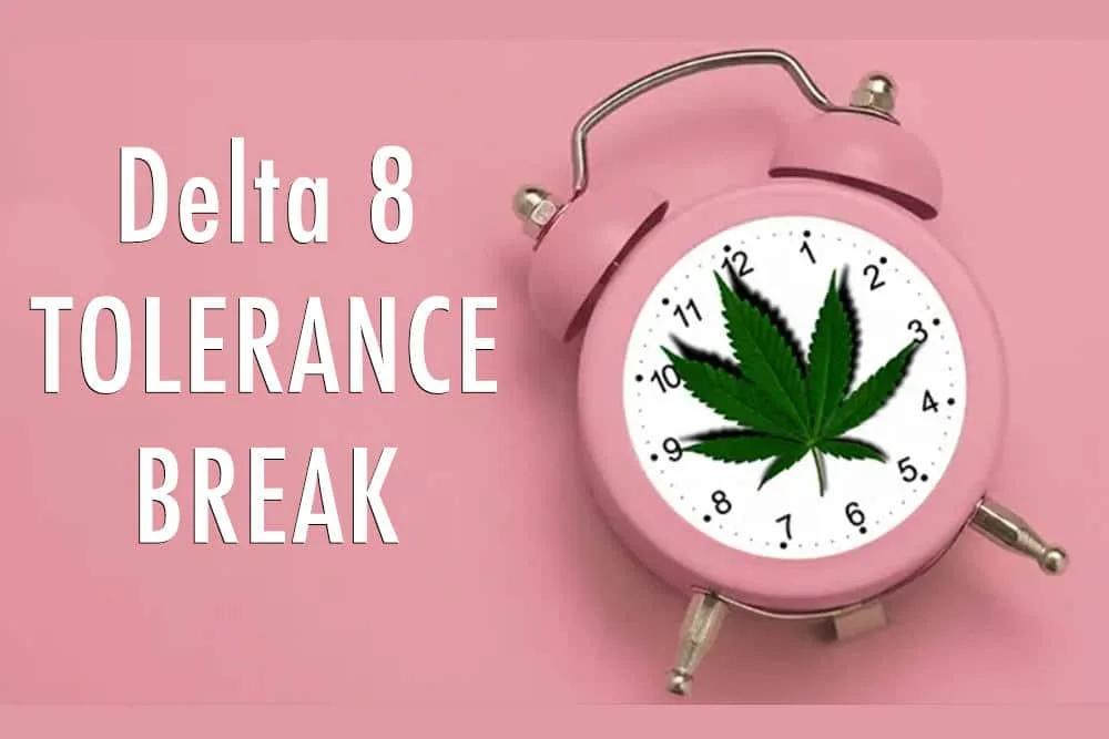 Delta 8 Tolerance Break: A Complete Guide