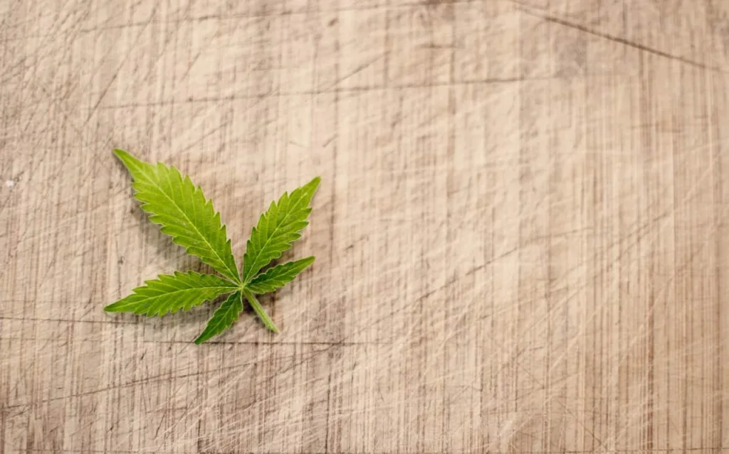 How Long Does a Delta 9 High Last? Understanding THC