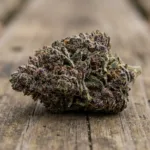 Mendo Breath Strain